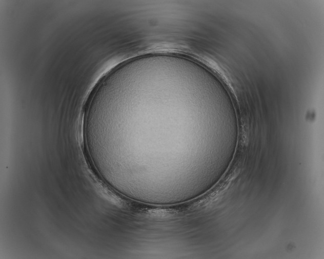 X0000097831227200803281153