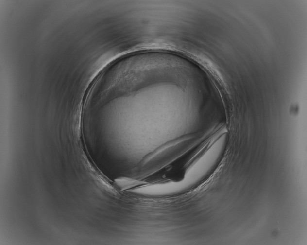 X0000097831228200803281153