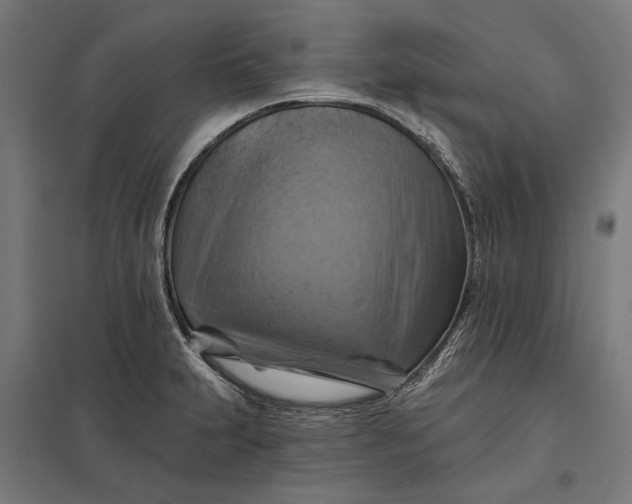 X0000097831231200803281153