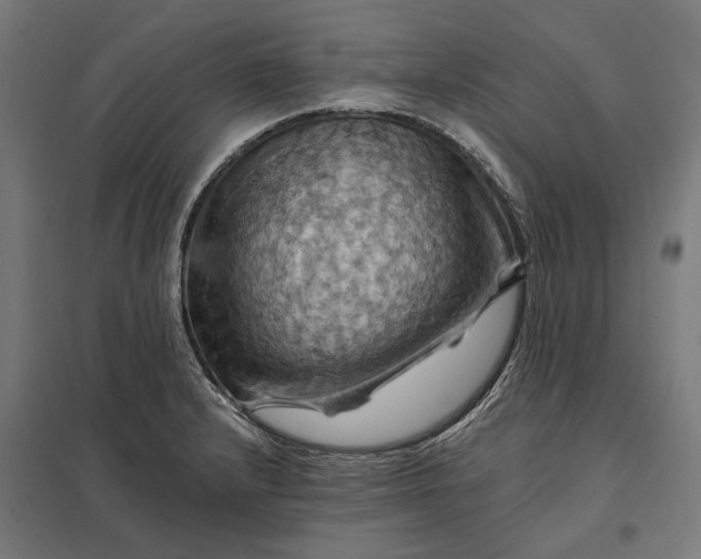 X0000097831232200803281153