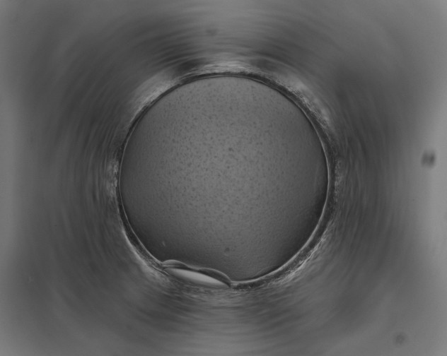 X0000097831233200803281153