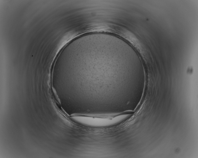 X0000097831234200803281153