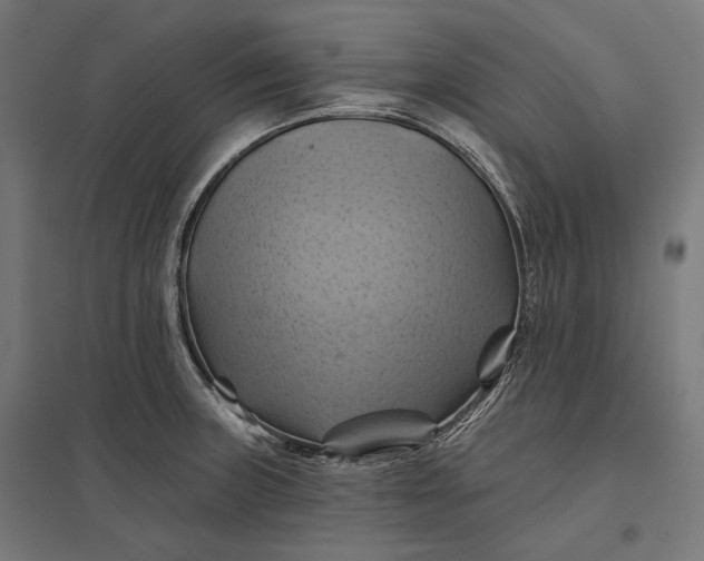 X0000097831235200803281153