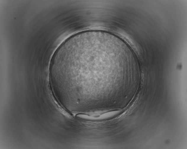 X0000097831236200803281153