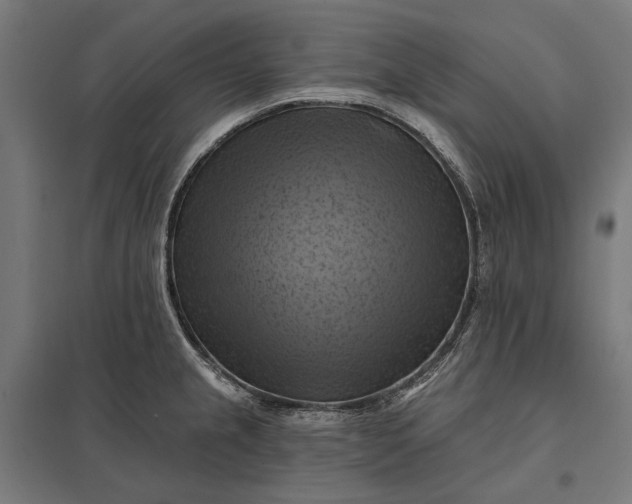 X0000097831237200803281153