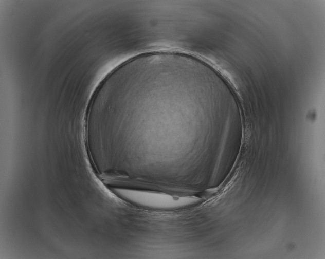 X0000097831239200803281153