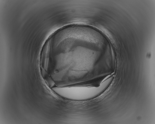 X0000097831240200803281153