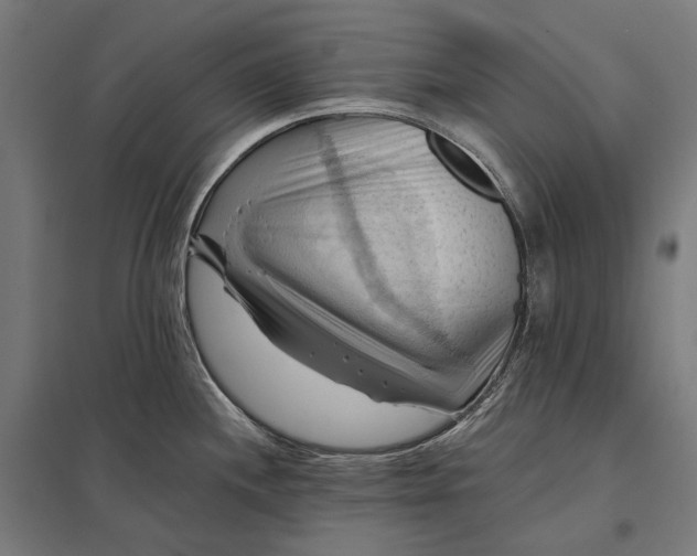 X0000097831244200803281153