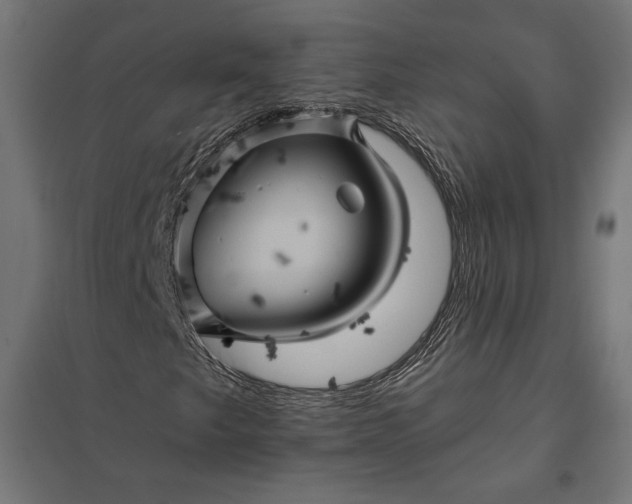 X0000097831249200803281152