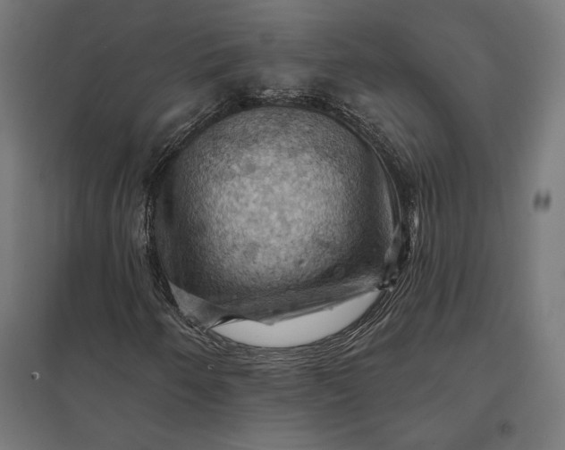 X0000097831250200803281152