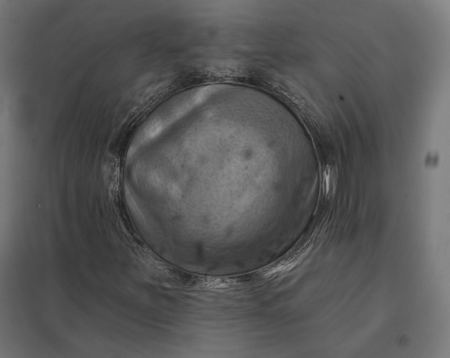 X0000097831251200803281152