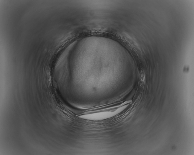 X0000097831252200803281152