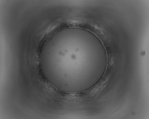 X0000097831253200803281152