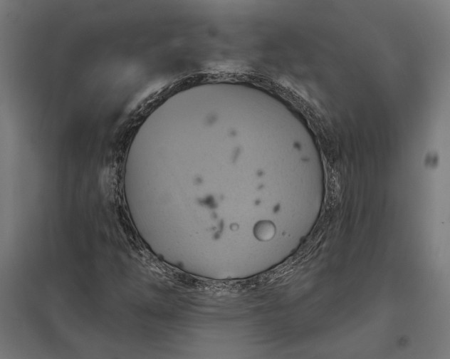 X0000097831254200803281152