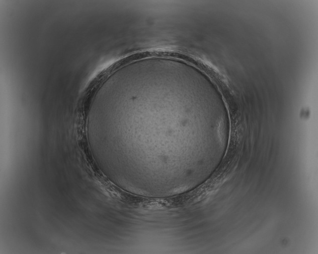 X0000097831255200803281152