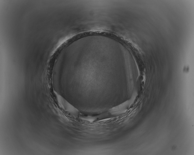 X0000097831256200803281152