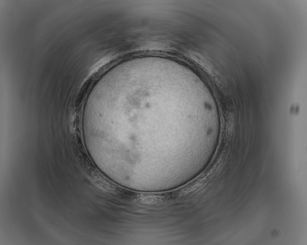 X0000097831258200803281152