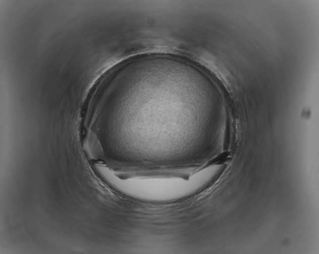 X0000097831260200803281152