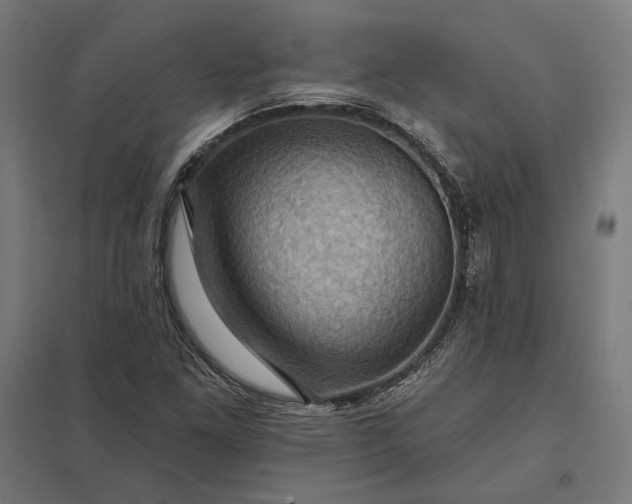 X0000097831261200803281152