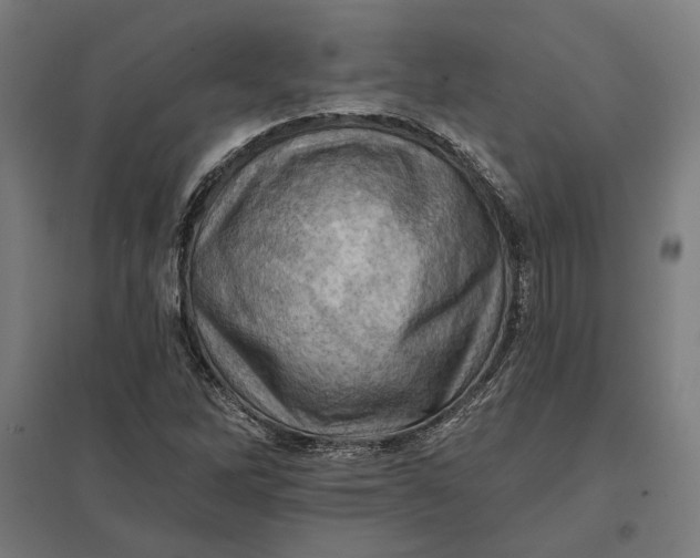 X0000097831262200803281152