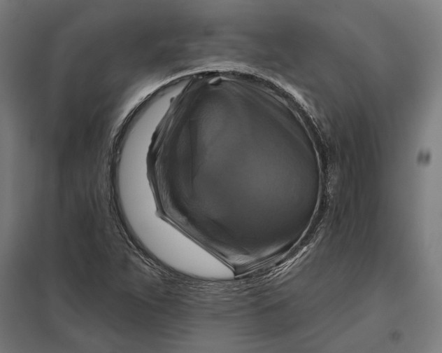 X0000097831263200803281152