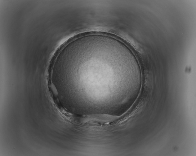 X0000097831264200803281152