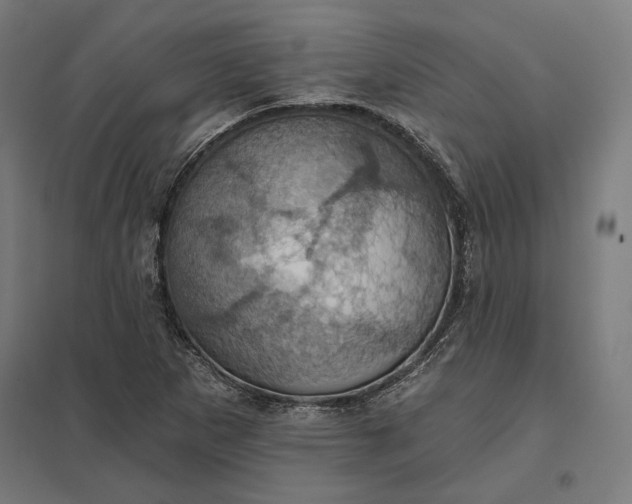 X0000097831265200803281152