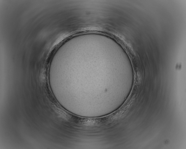 X0000097831266200803281152