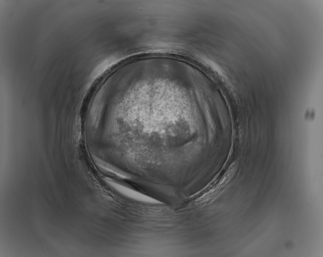 X0000097831267200803281152