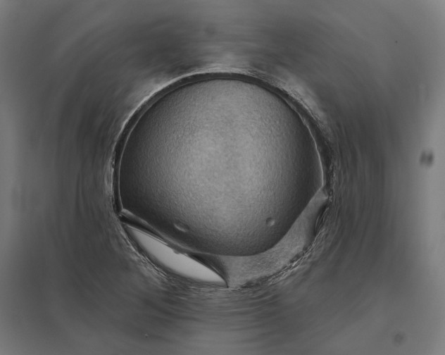 X0000097831268200803281152