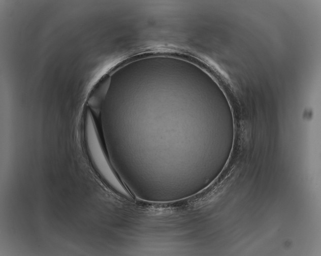 X0000097831269200803281152