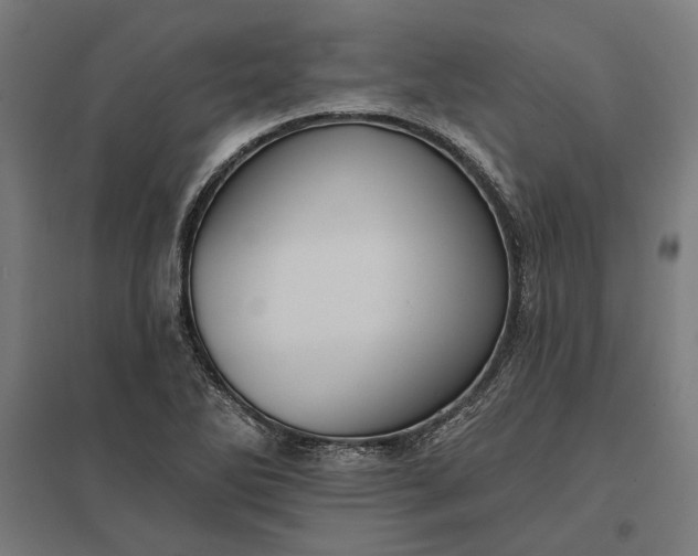 X0000097831270200803281152