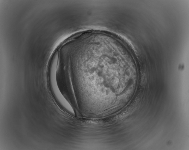 X0000097831271200803281152