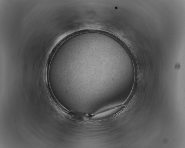 X0000097831272200803281152