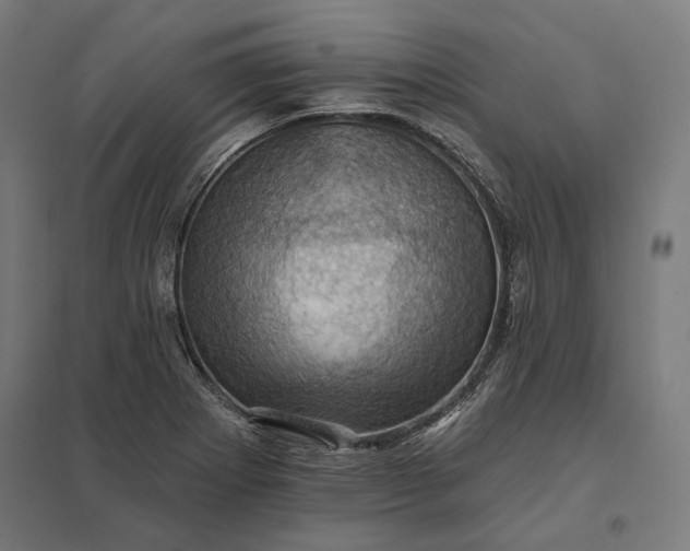 X0000097831273200803281152