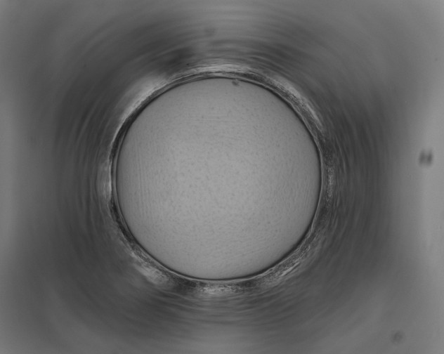 X0000097831274200803281152