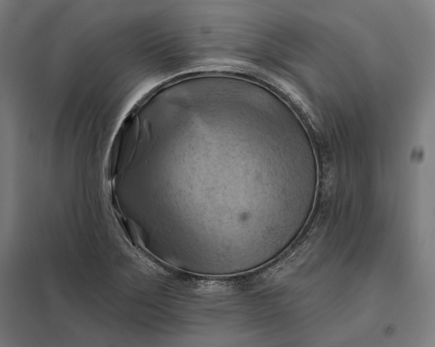 X0000097831275200803281152