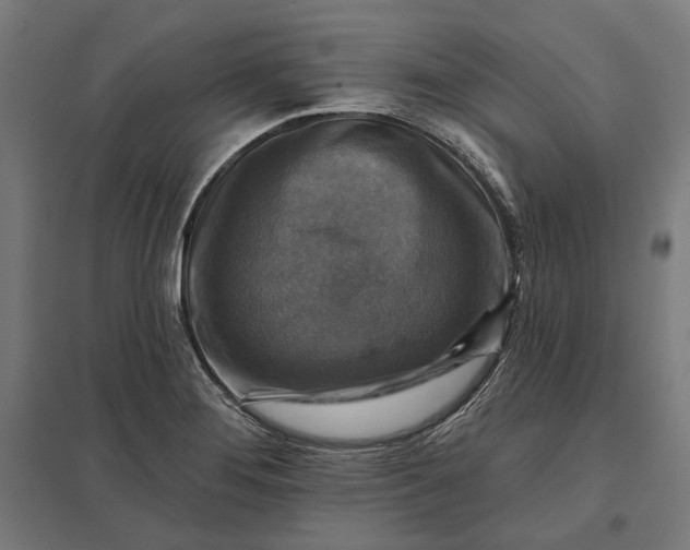 X0000097831276200803281152