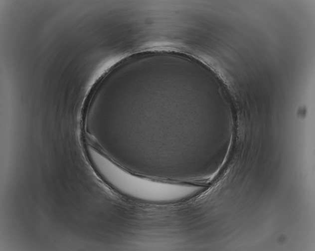 X0000097831277200803281152