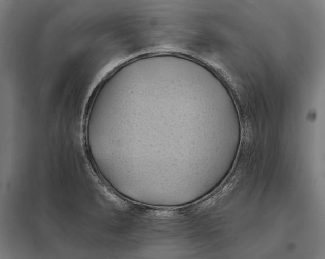 X0000097831278200803281152