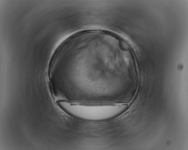 X0000097831279200803281152