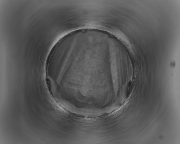 X0000097831280200803281152