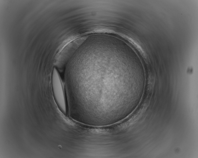 X0000097831281200803281152