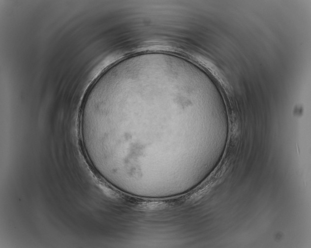 X0000097831282200803281152