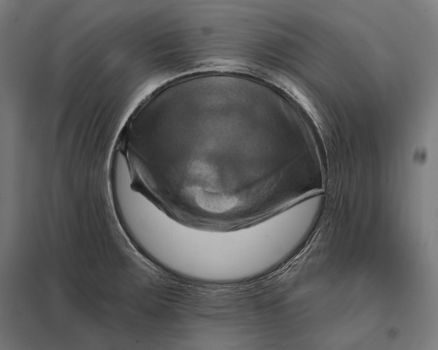 X0000097831283200803281152