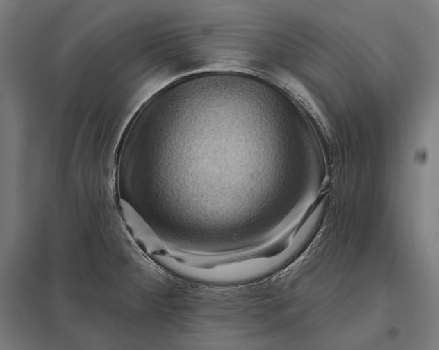 X0000097831284200803281152