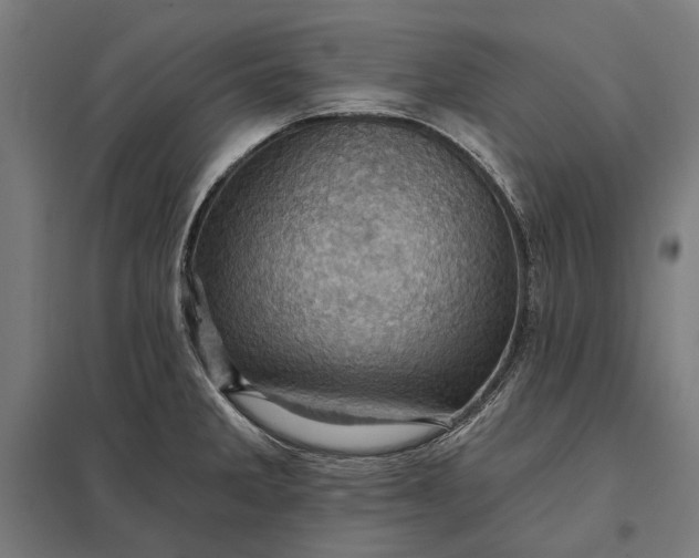 X0000097831285200803281151