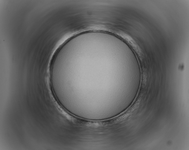 X0000097831286200803281151