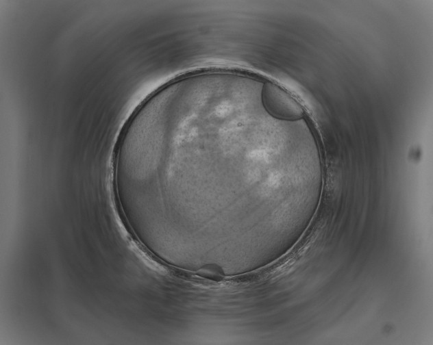 X0000097831287200803281151