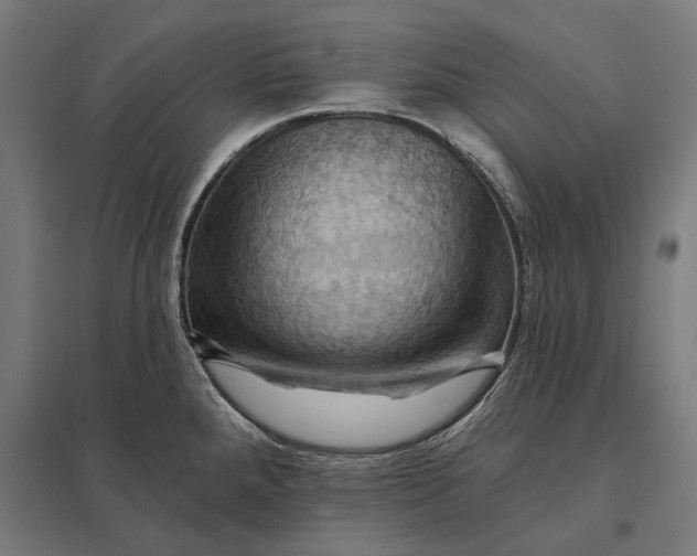 X0000097831288200803281151